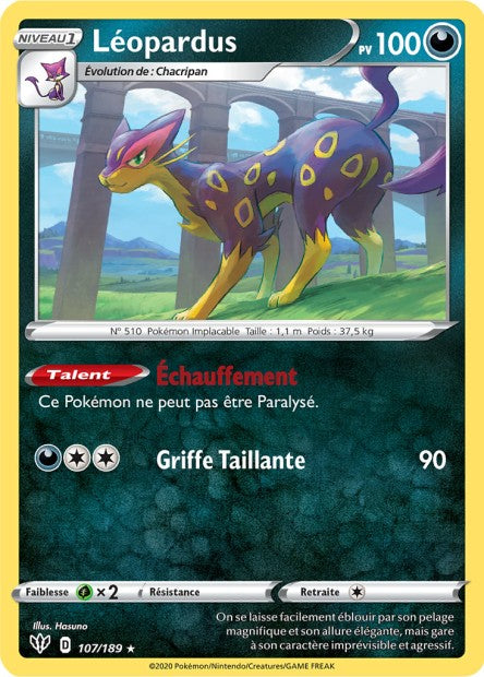Léopardus 107