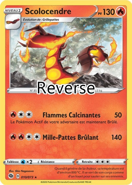 Scolocendre 010 reverse