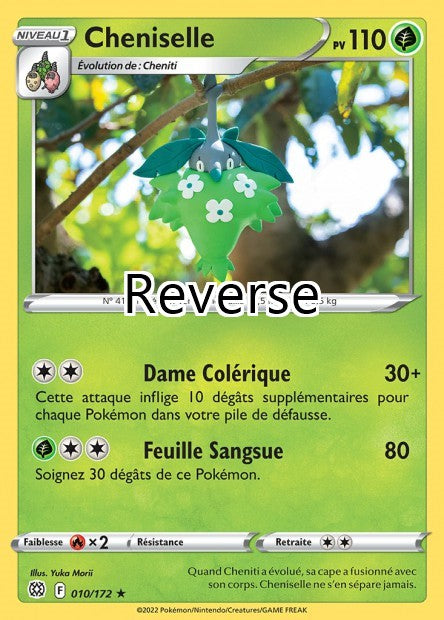Cheniselle reverse