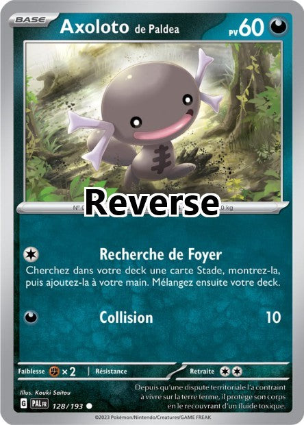Axoloto de Paldéa reverse
