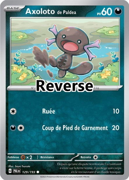 Axoloto de Paldéa reverse