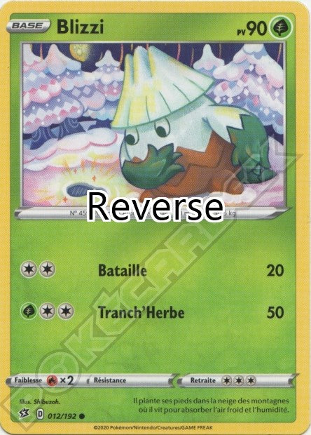 Blizzi 012 reverse