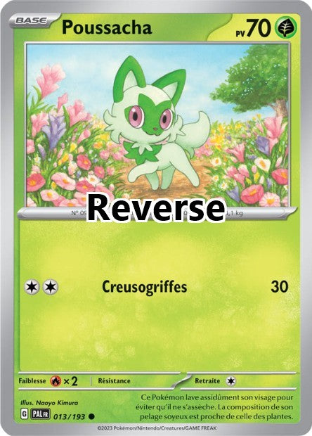 Poussacha reverse