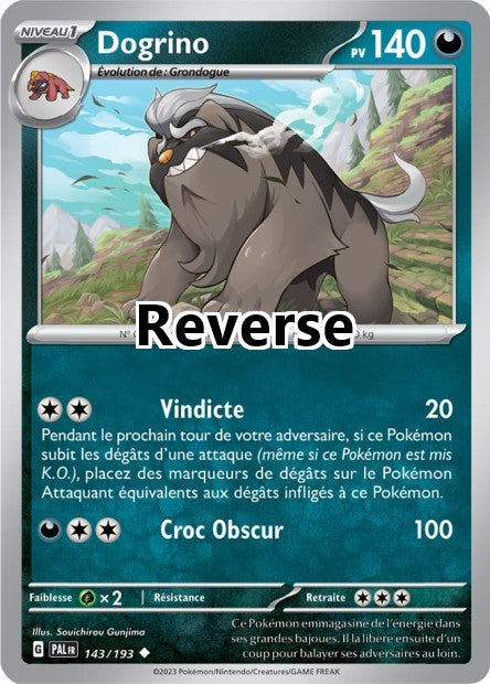 Dogrino reverse