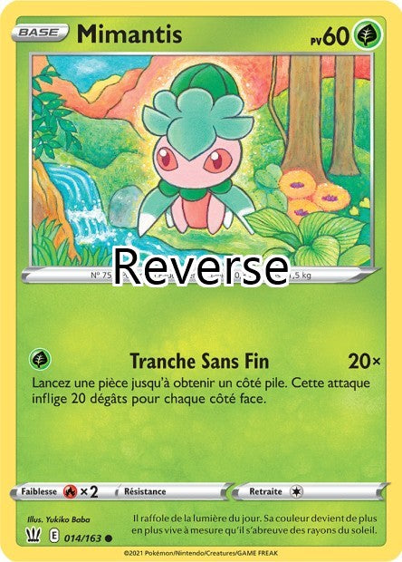 Mimantis 014 reverse