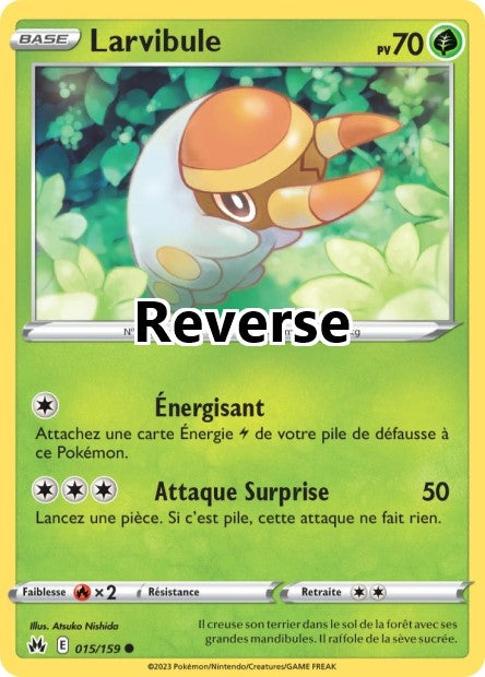 Larvibule reverse