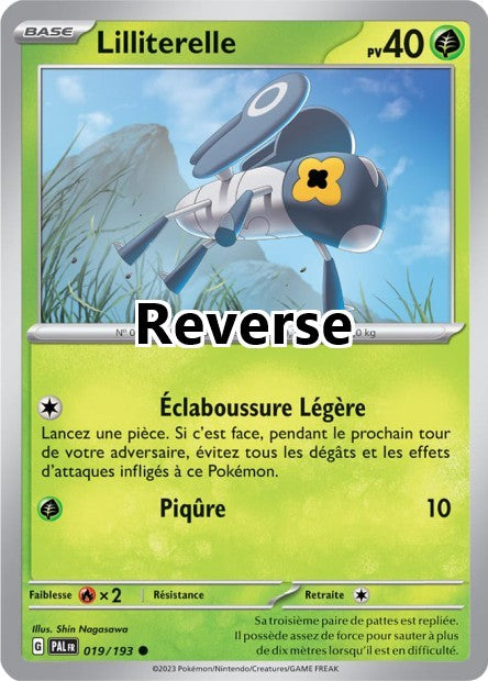 Lilliterelle reverse