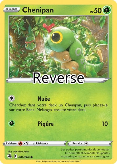 Chenipan reverse