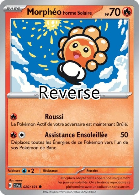 Morphéo Forme Solaire Reverse