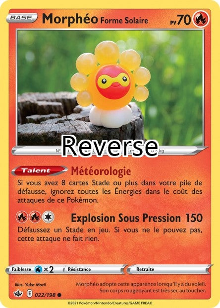 Morpheo reverse