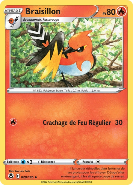 Braisillon