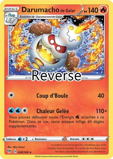 Darumacho 028 reverse