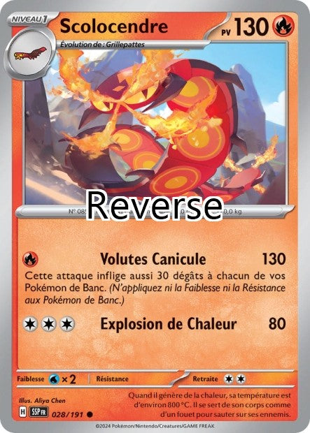 Scolocendre Reverse