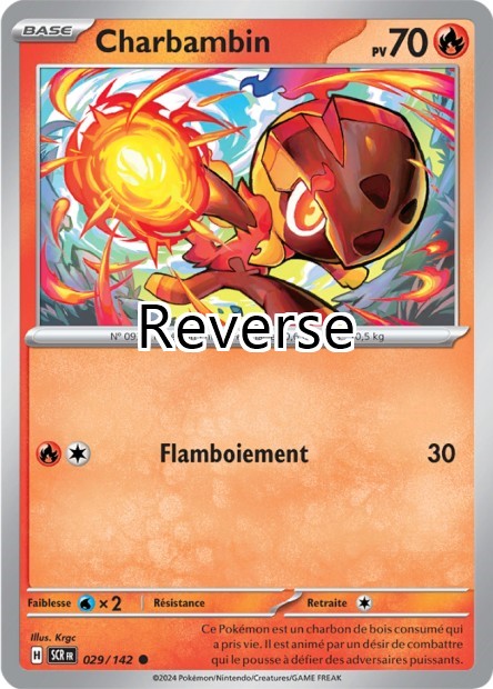 Charbambin reverse