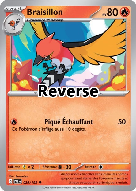 Braisillon reverse