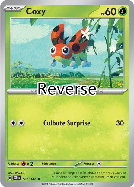 Coxy reverse