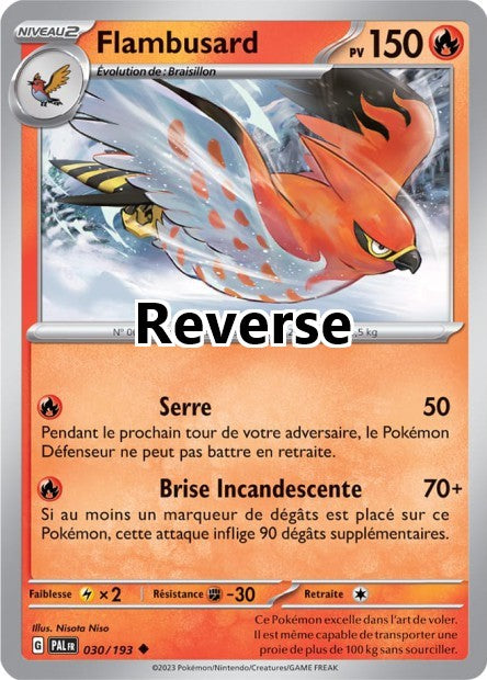 Flambusard reverse