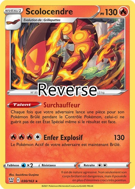 Scolocendre 030 reverse