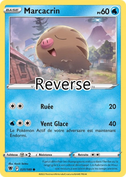 Marcacrin reverse