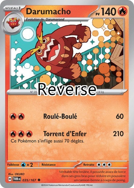 Darumacho reverse