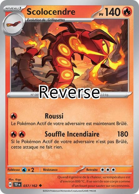 Scolocendre reverse