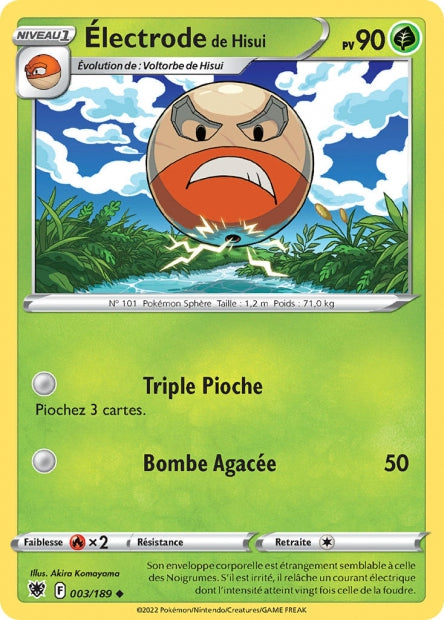 Electrode de Hisui