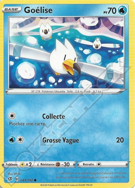 Goélise 041