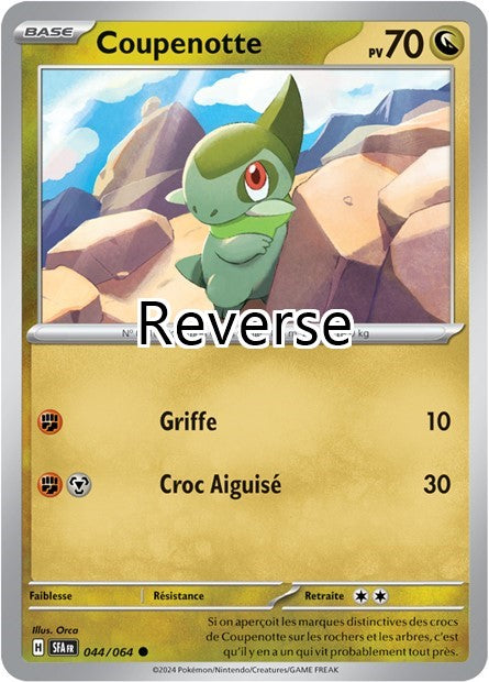 Coupenotte reverse