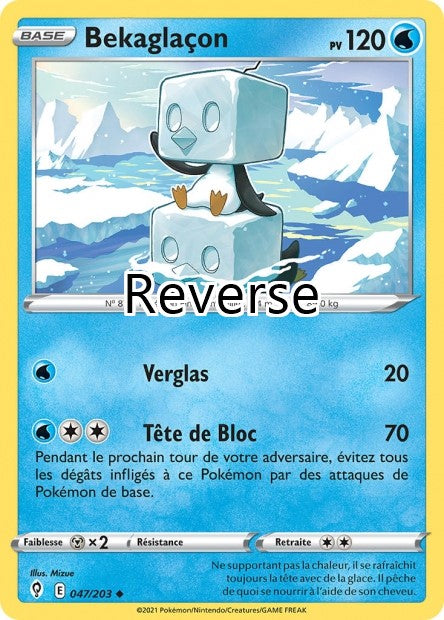 Bekaglaçon reverse
