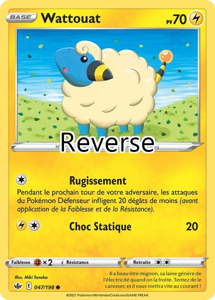 Wattouat reverse