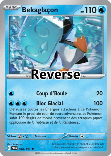 Bekaglaçon reverse