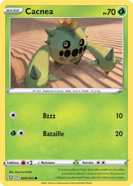 Cacnea 004