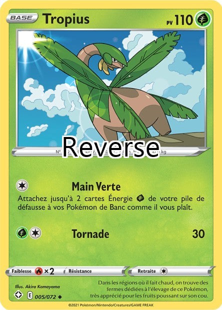 Tropius 005 reverse