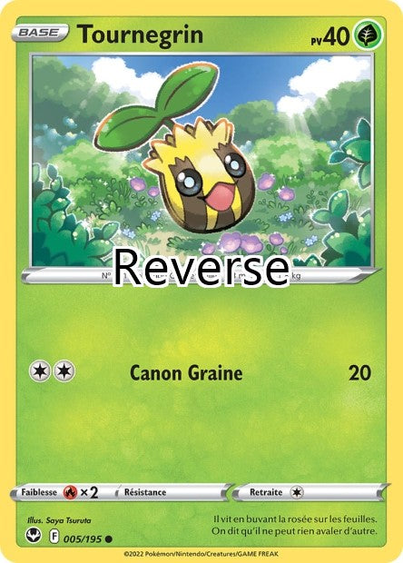 Tournegrin reverse
