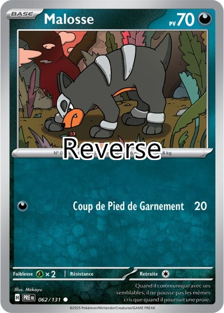 Malosse reverse