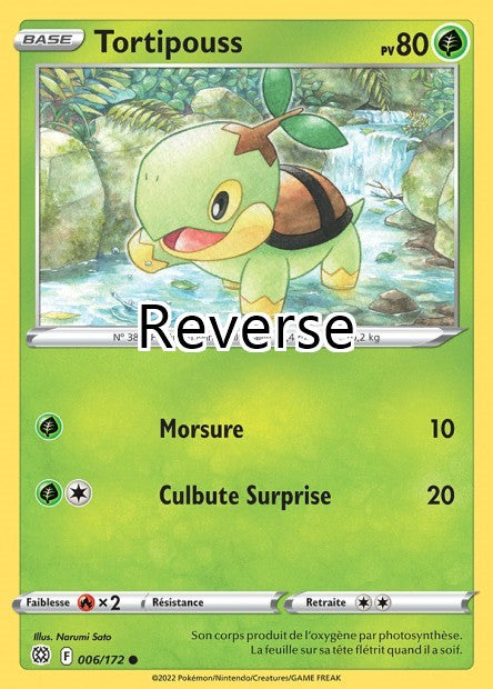 Tortipouss reverse
