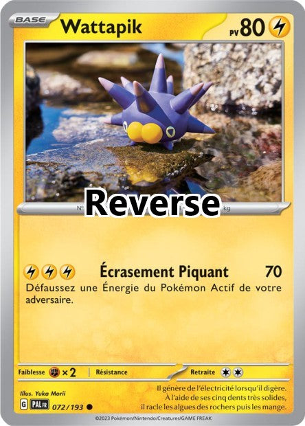 Wattapik reverse