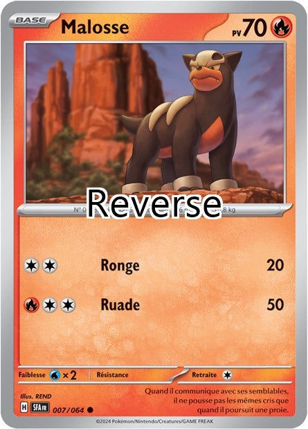 Malosse reverse