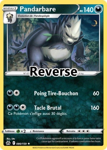 Pandarbare reverse