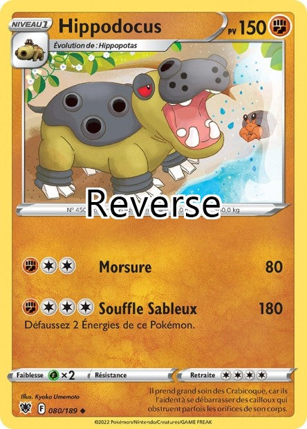 Hippodocus reverse