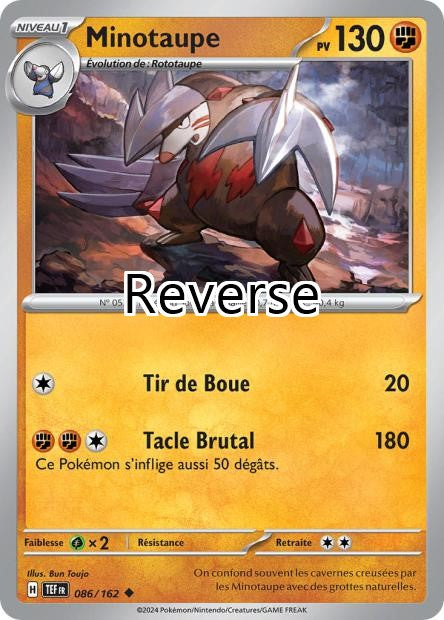 Minotaupe reverse