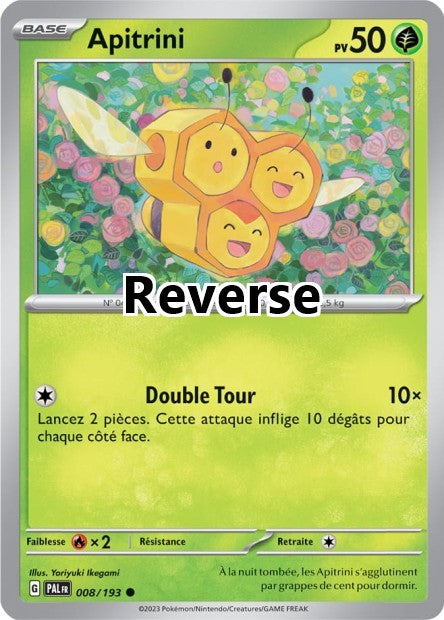 Apitrini reverse