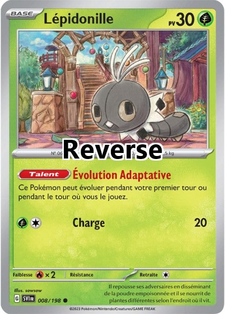 Lépidonille reverse