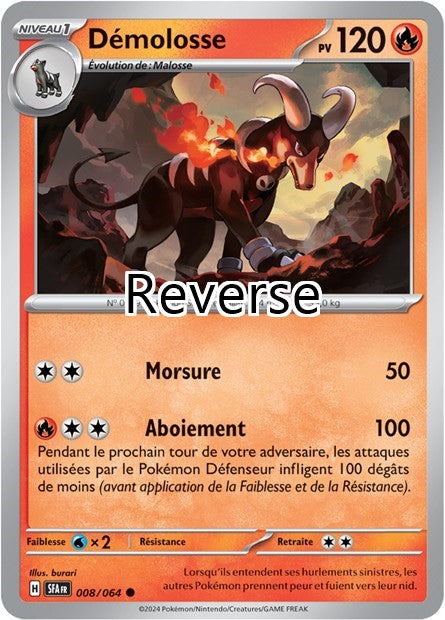 Démolosse reverse
