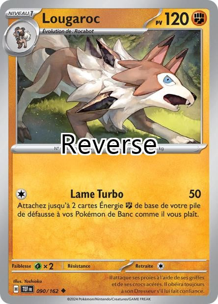 Lougaroc reverse