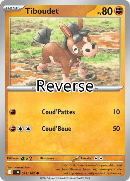 Tiboudet reverse
