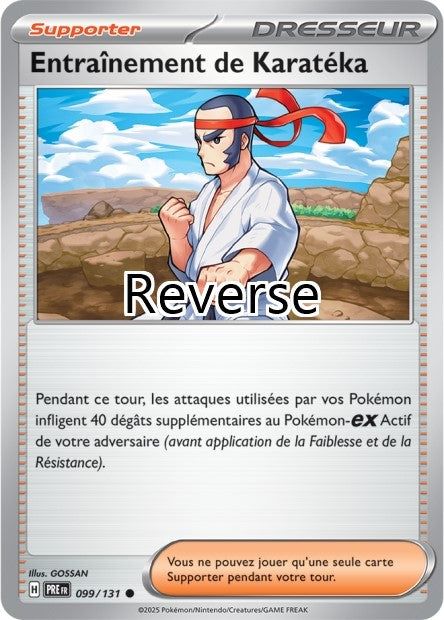 Entraînement de Karatéka reverse