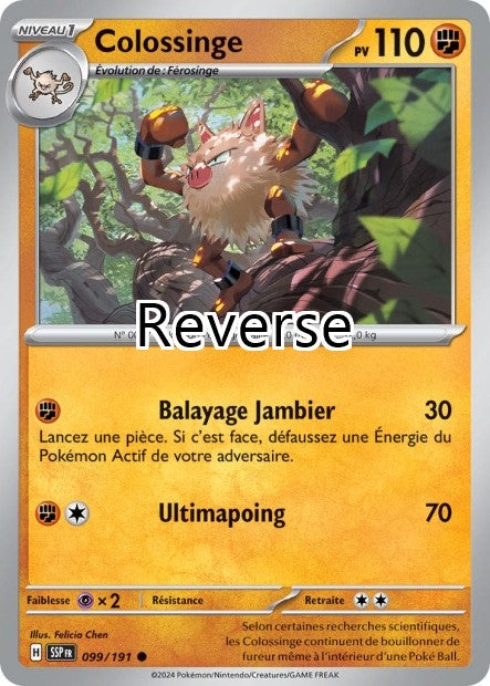 Colossinge Reverse