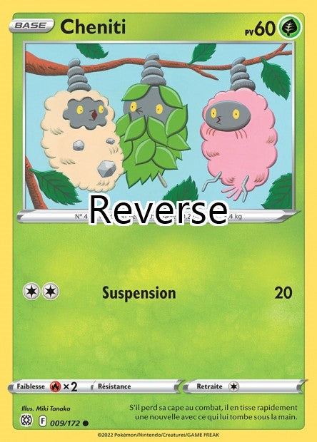 Cheniti reverse