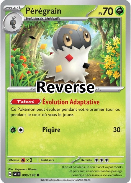 Pérégrain reverse